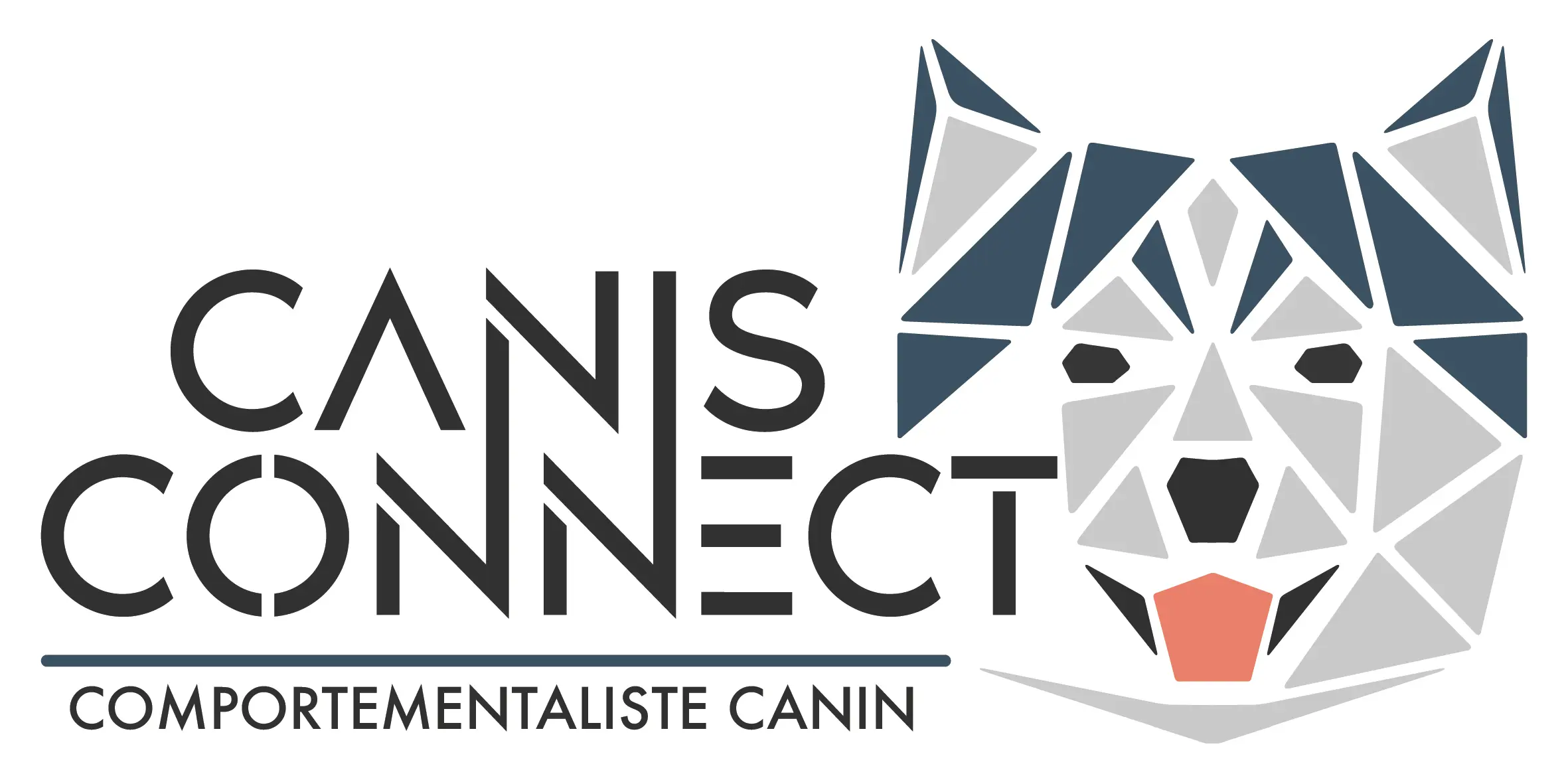 Logo principal de Canis Connect
